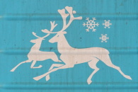 "Polrn stela" - logo na vagn